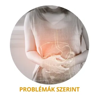 Testszerviz Webáruház