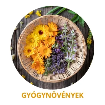 Testszerviz Webáruház