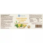 Caleido ligetszépeolaj+e-vitamin gélkapszula 60 db