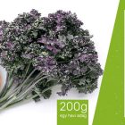 Testszerviz Fodroskel Por