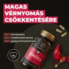 Myrobalan SHIVA vérnyomáscsökkentő gyógynövény-komplex 60 db vegán kapszula