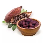 BioMenü BIO perui kakaóbab 125 G