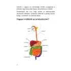 EGYÉL JÓL, LEGYÉL JÓL! Testszerviz táplálkozási kisokos - letölthető TUDÁSFÜZET