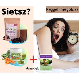   REGGELI MEGOLDÁS (Testszerviz Vidd Magaddal Zöldturmix por, Testszerviz Extra Vegán fehérje, "Egyél jól!" letölthető Testszerviz kiadvány)