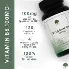 G&G B6-vitamin 100mg 120 kapszula