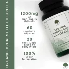 G&G Chlorella alga (törött sejtfalú és organikus) 60 kapszula