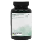 G&G Kolin és Inozitol 250mg 120 kapszula