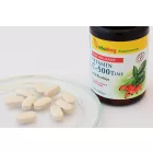 VITAKING C-500mg TR (100) 30mg csipkebogyóval