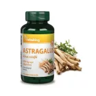 Vitaking Astragalus kivonat (90 kapszula)