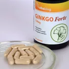 VITAKING Ginkgo Biloba Forte 120mg 60 kapszula
