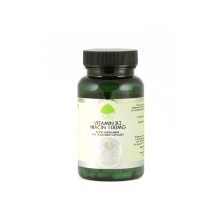 G&G B3-vitamin (niacin) 100mg 120 kapszula