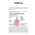 Egy világjárvány margójára - Tudnivalók nem csak járvány esetére - letölthető TUDÁSFÜZET