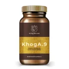Myrobalan KHOGA.9 reflux elleni gyógynövény kapszula  60 db