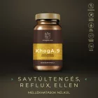Myrobalan KHOGA.9 reflux elleni gyógynövény kapszula  60 db