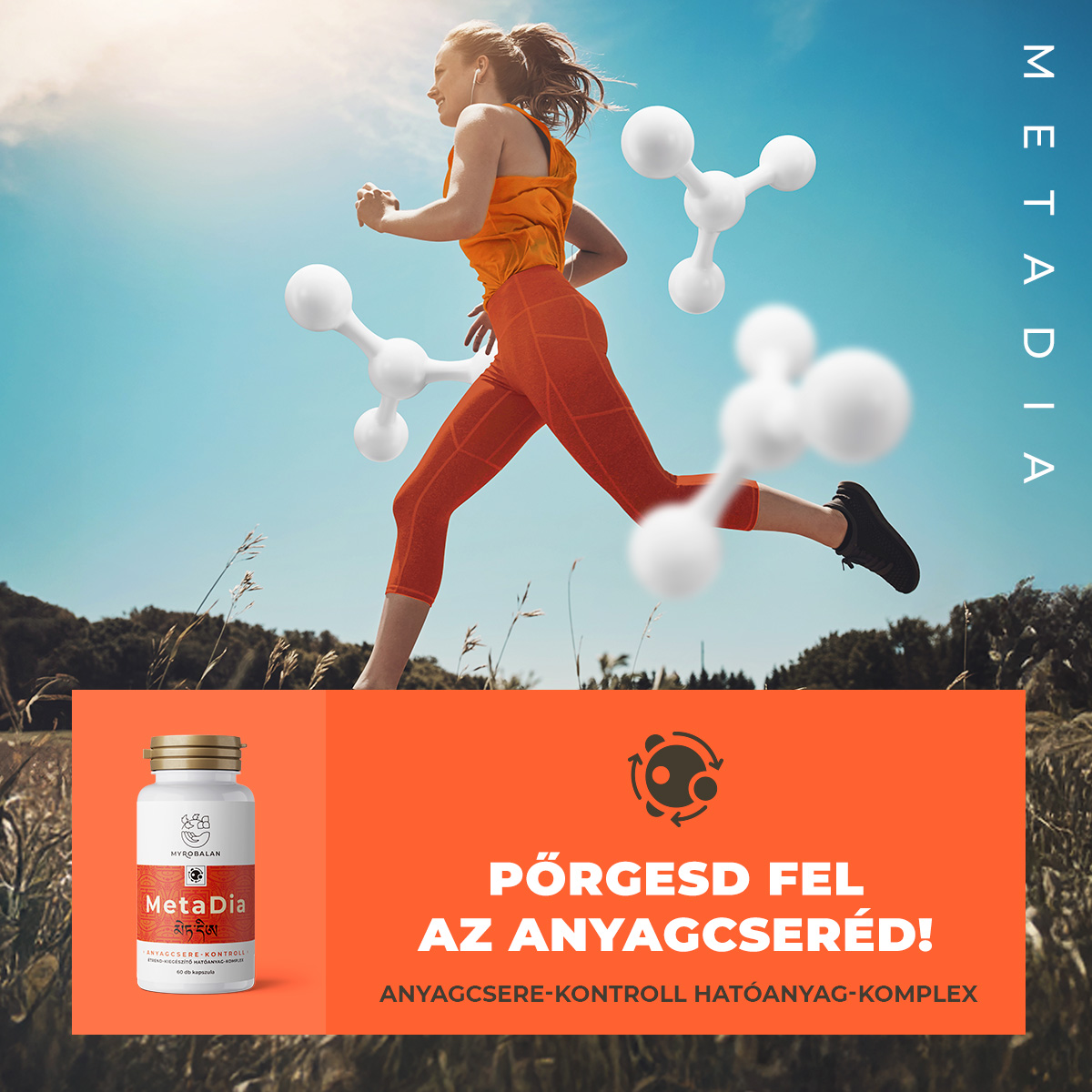 Az anyagcsere támogatása célzott összetevőkkel