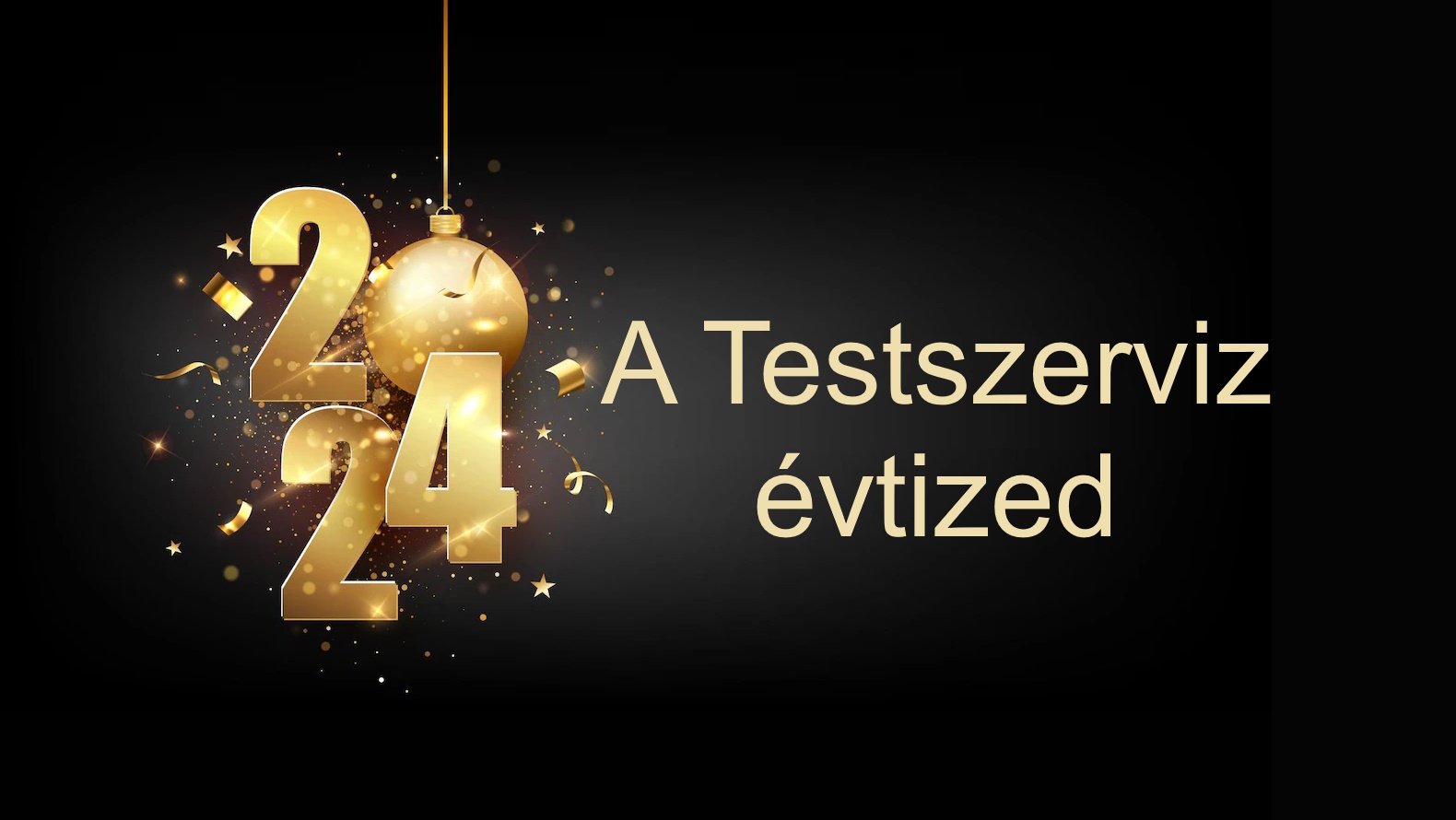 Testszerviz évtized - 2024