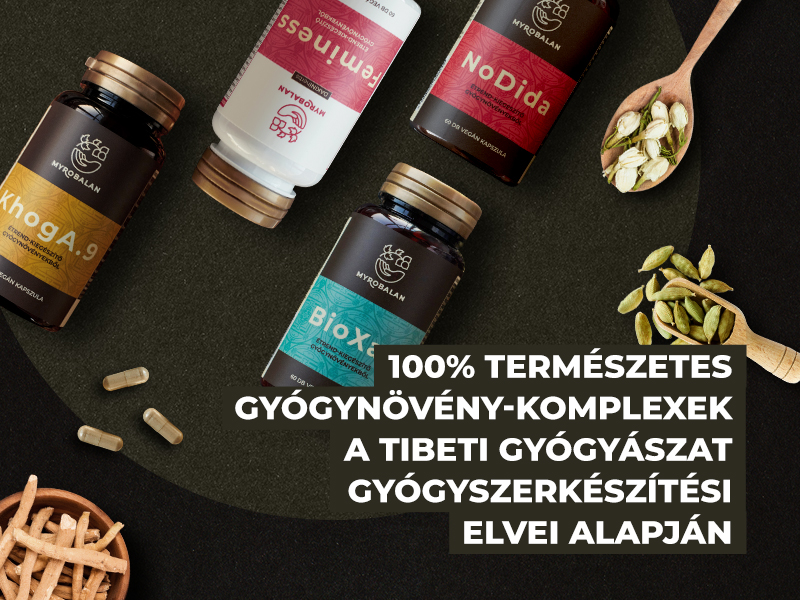 Laza utazás a Myrobalan világában